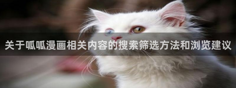 梦漫漫画APP功能
